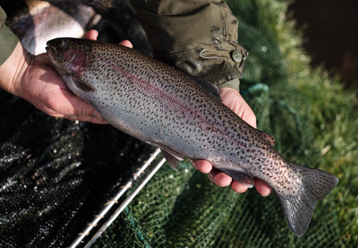 Private Label Pet Food GA Pet Food Partners