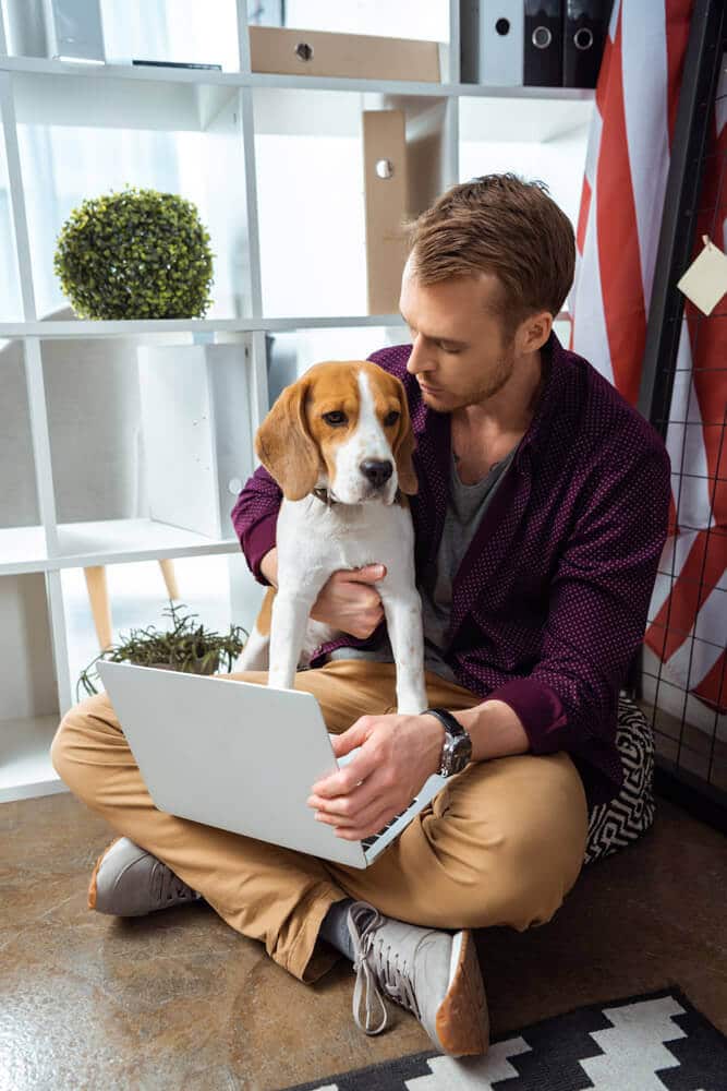 Un proprietar de animale de companie navighează pe MyHub platformă cu câinele său beagle