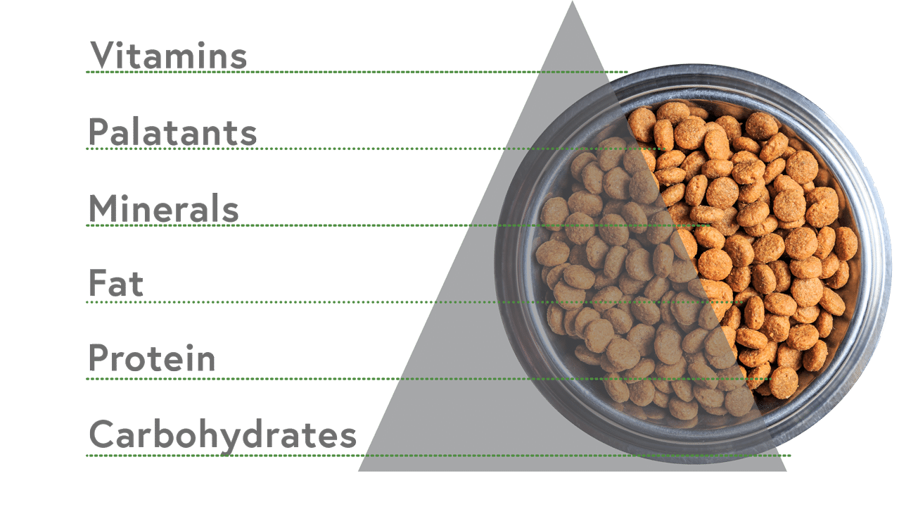 Lorsque nous examinons comment choisir une bonne nourriture pour chiens, nous devons examiner la pyramide alimentaire et nous assurer que nous obtenons suffisamment de vitamines, de minéraux, de graisses, de protéines et de glucides dans leur nourriture pour animaux de compagnie.