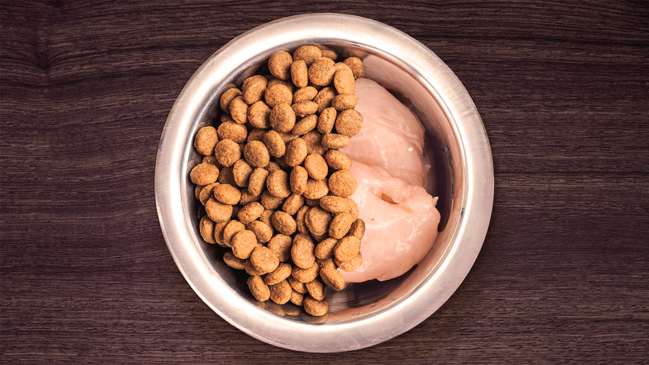 сырой корм для домашних животных против сухих гранул, что лучше для вашего питомца? В этой статье мы рассмотрим плюсы и минусы обеих форм корма для домашних животных.