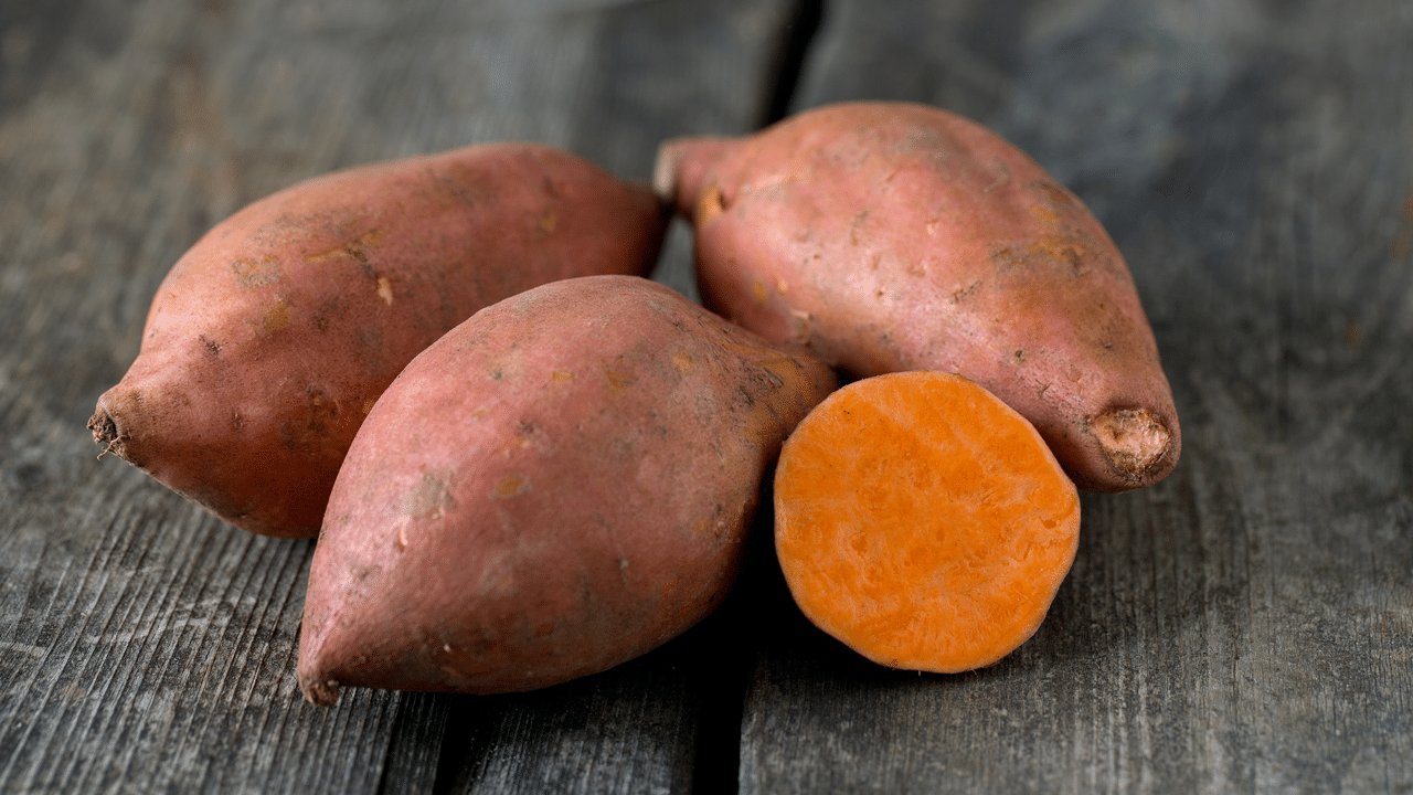Proč jsou sacharidy jako sladké brambory v krmivu pro domácí zvířata?