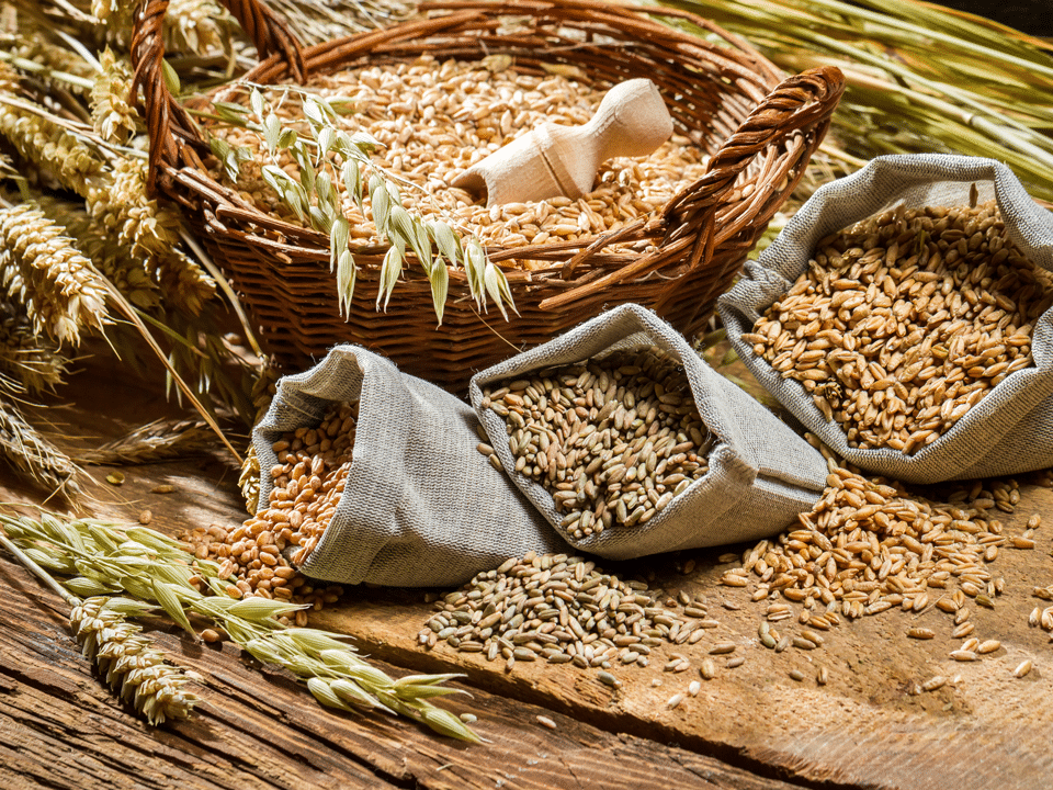 Tipiški grūdų naminių gyvūnėlių ėdalo ingredientai yra avižos, kviečiai, miežiai, kukurūzai ir ryžiai.