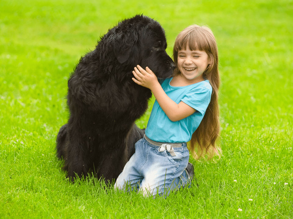 Dog playing with young child