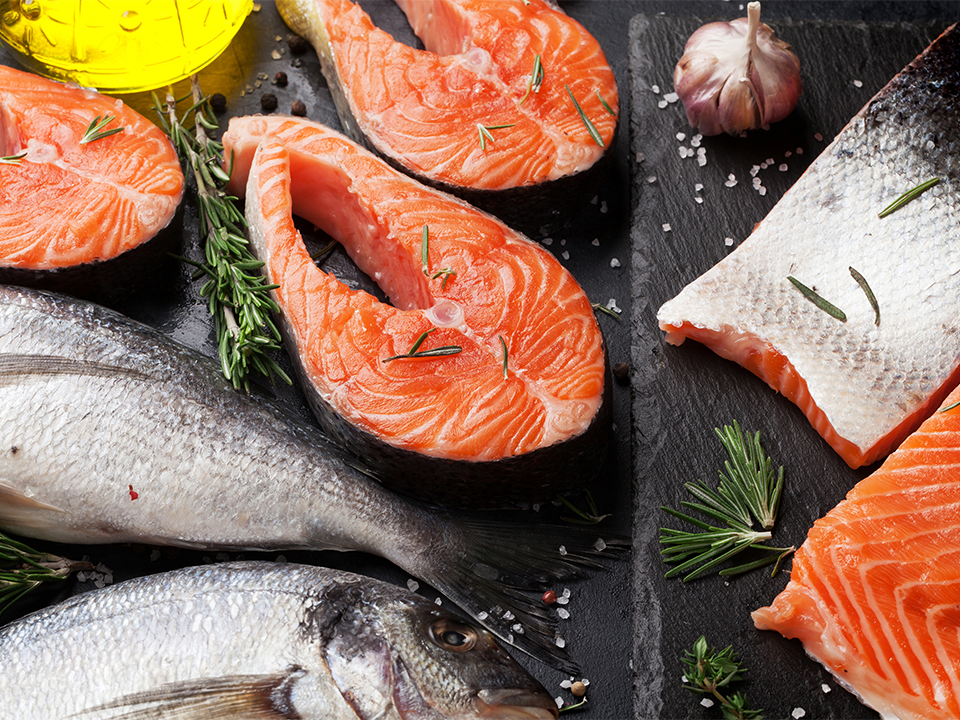 Fresh Salmon contains high levels of protein