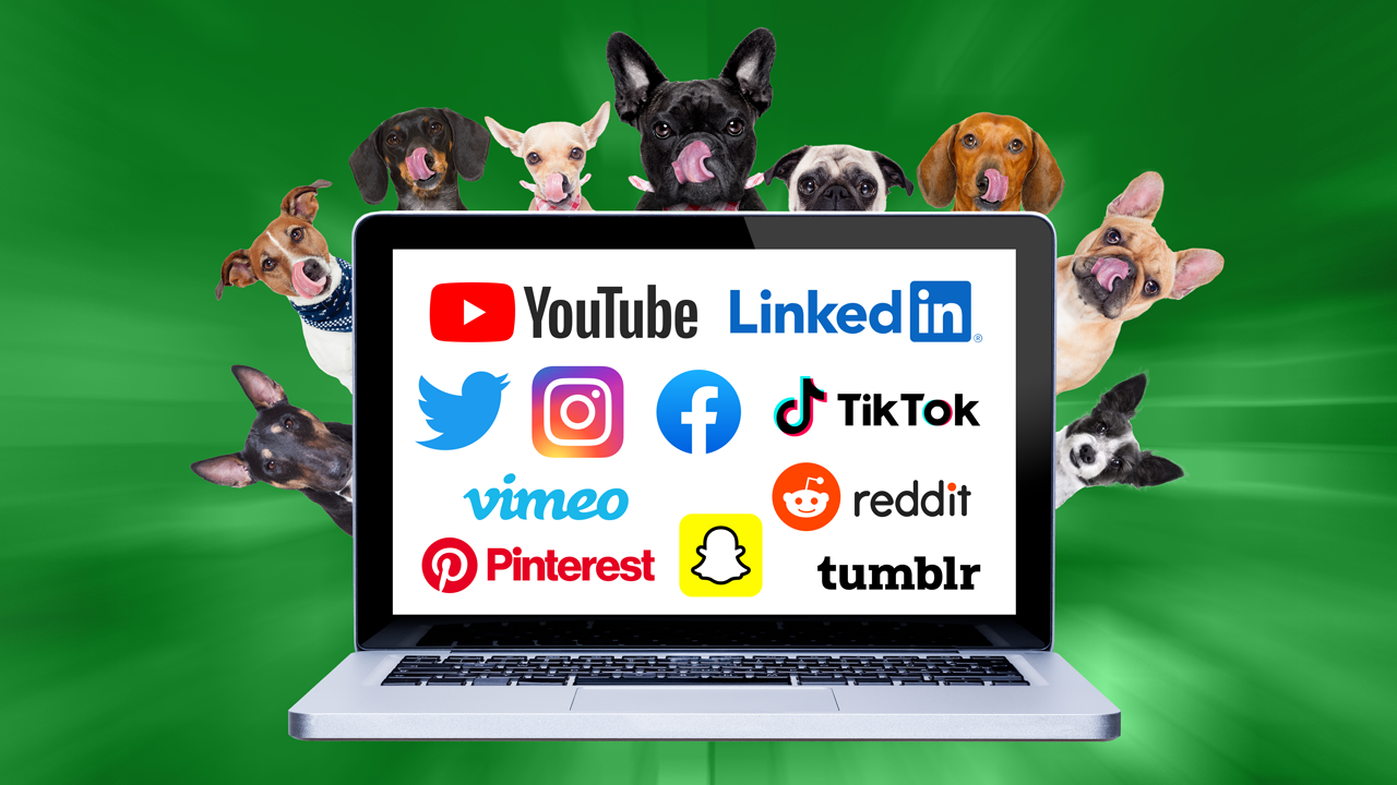 Building a Pet Food Brand with Social Media GA Pet Food Partners