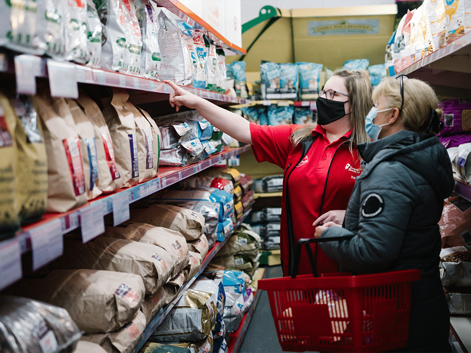 A tulajdonosok jobban odafigyelnek kedvenceik egészségére