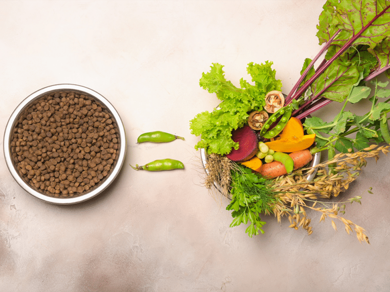 Within society and the media, the word ‘superfoods’ has more