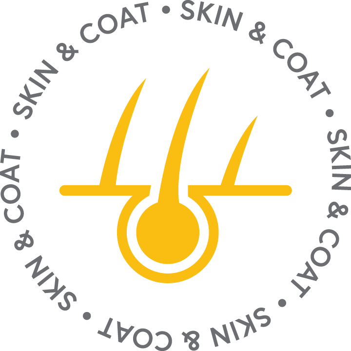 Skin and Coat Pet Treat Icon